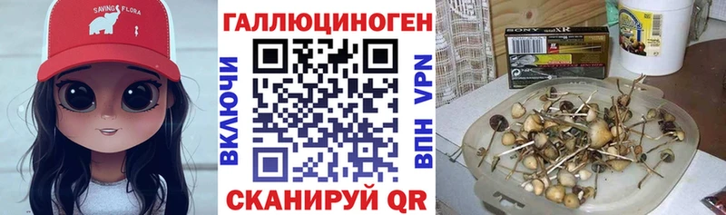 цена   Заринск  Псилоцибиновые грибы MAGIC MUSHROOMS 